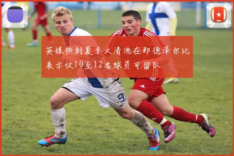英媒热刺夏季大清洗在即德泽尔比表示仅10至12名球员可留队