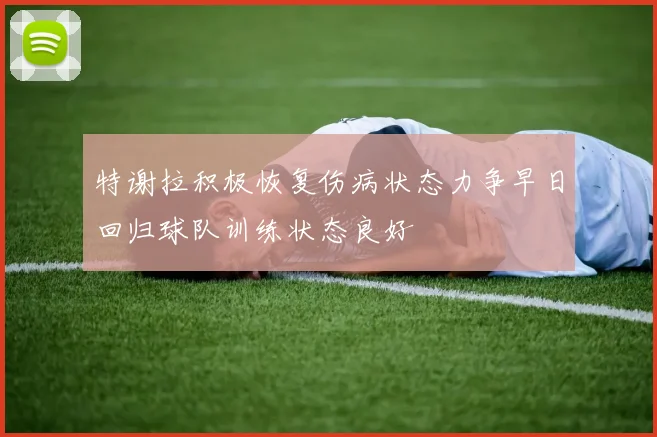 特谢拉积极恢复伤病状态力争早日回归球队训练状态良好